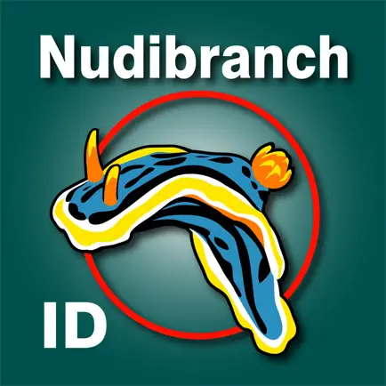 Nudibranch ID Western Atlantic Читы