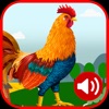 Rooster Sound icon