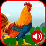 Rooster Sound App Cancel