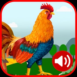 Rooster Sound