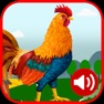 Get Rooster Sound for iOS, iPhone, iPad Aso Report