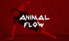 Animal Flow OnDemand