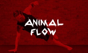 Animal Flow OnDemand