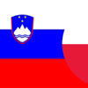 Słownik Słoweński-Polski - FB PUBLISHING LLC
