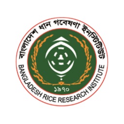 Rice Profile