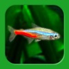 Icon Tropical Fish Tank - Mini Aqua