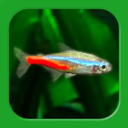 Tropical Fish Tank - Mini Aqua Cheats