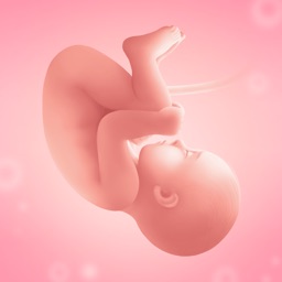 妊娠出産日記：マタニティアプリ アイコン