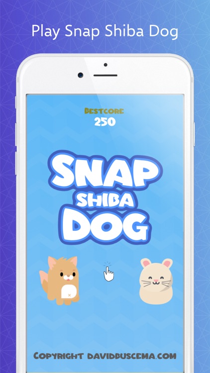 Snap Shiba Dog screenshot-0