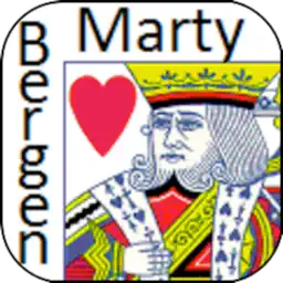 Bergen Bridge Advanced Defense app icon
