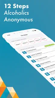 12 step toolkit iphone screenshot 1