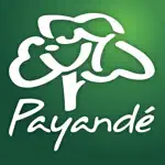 Payandé App Contact