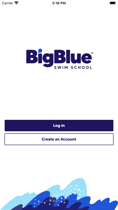 Big Blue Swim School Screenshot
