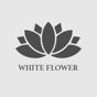 The White Flower Hotel app download
