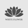 Get The White Flower Hotel for iOS, iPhone, iPad Aso Report