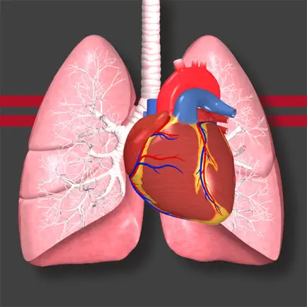 STS Cardiothoracic Surgery Cheats