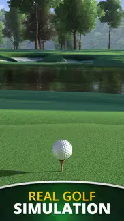 ultimate golf! iphone screenshot 3