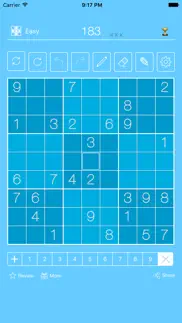 sudoku² problems & solutions and troubleshooting guide - 2