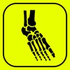 Foot Bones: Speed Anatomy Quiz icon