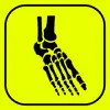Similar Foot Bones: Speed Anatomy Quiz Apps