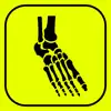 Foot Bones: Speed Anatomy Quiz App Delete