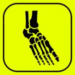 Foot Bones: Speed Anatomy Quiz App Cancel