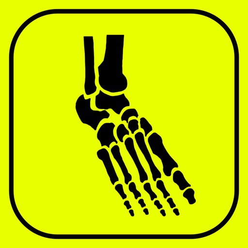 Foot Bones: Speed Anatomy Quiz