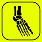 Foot Bones: Speed Anatomy Quiz app download