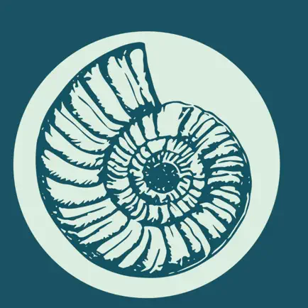 wellnesse.ca Читы