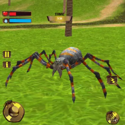 Wild Spider Tarantula Hunter Cheats