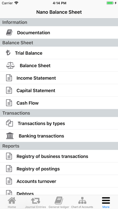 Nano Balance Sheet Screenshot