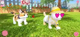 Game screenshot Игры с домашними кошками 2023 apk