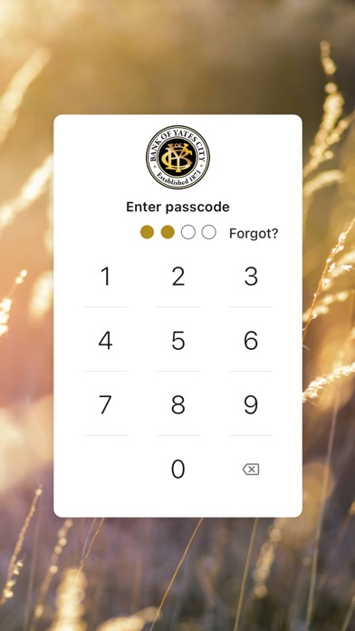 Bank of Yates City Screenshot