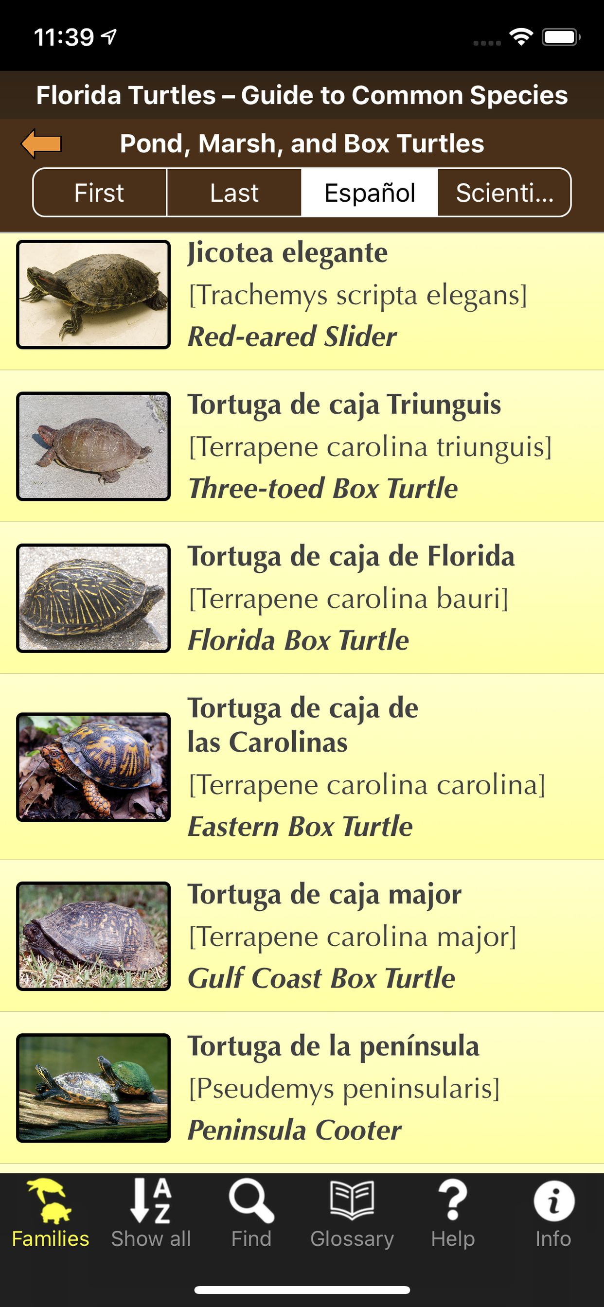 Florida Turtles screenshot 5