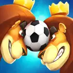 Rumble Stars App Support