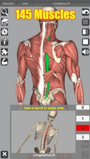 Screenshot von 3D Anatomy auf dem iPhone 3