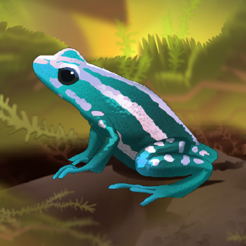 ‎Pocket Frogs