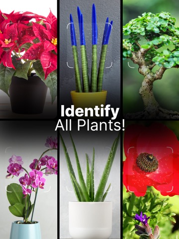 Plant Pic Identifierのおすすめ画像1