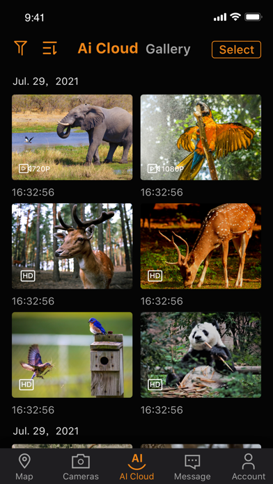 WingHomeCam: 4G Tra Screenshot