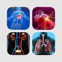 Human Body Quiz Bundle