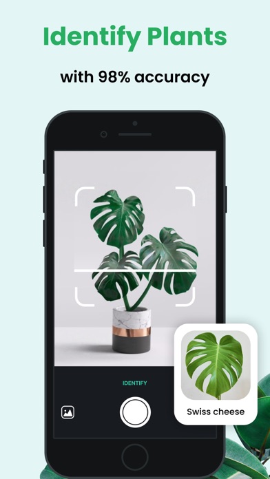 PlantCam: Plant Identifier Screenshot