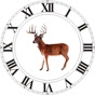 Best Hunting Times app download