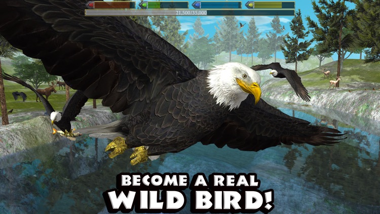 Ultimate Bird Simulator screenshot-0