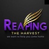 Reaping The Harvest