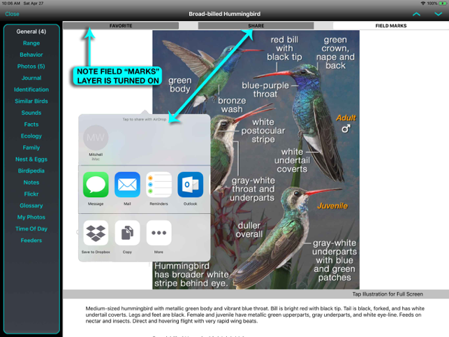 Екранна снимка на iBird Ultimate Guide to Birds