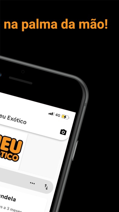 Meu Exotico Screenshot