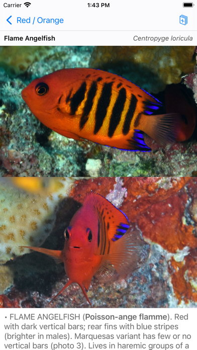Tahiti Fish ID Screenshot