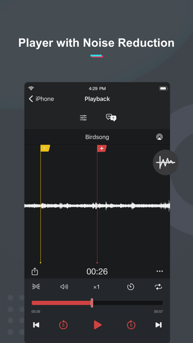 Voice Recorder & Memos Pro Screenshot
