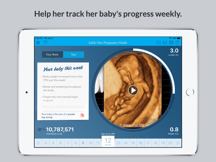 Little One Pregnancy Guide screenshot-3
