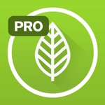 Download Garden Plate Pro app